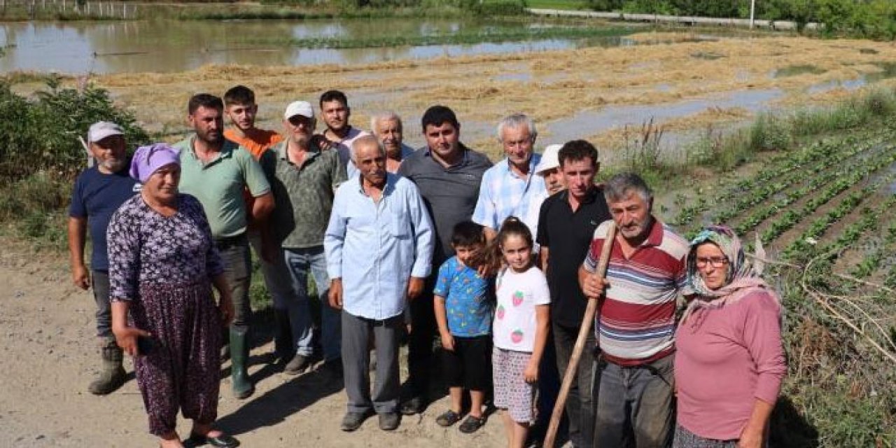 Samsun'da su taşkını felaketi! Tonlarca ürün zarar gördü