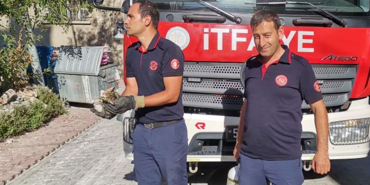 Samsun'da yavru kedi kurtarma operasyonu