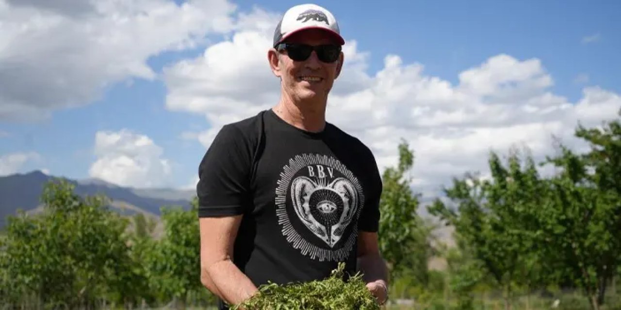 Bayburt'un tarhun otu Amerikalıların gözünden kaçmadı!