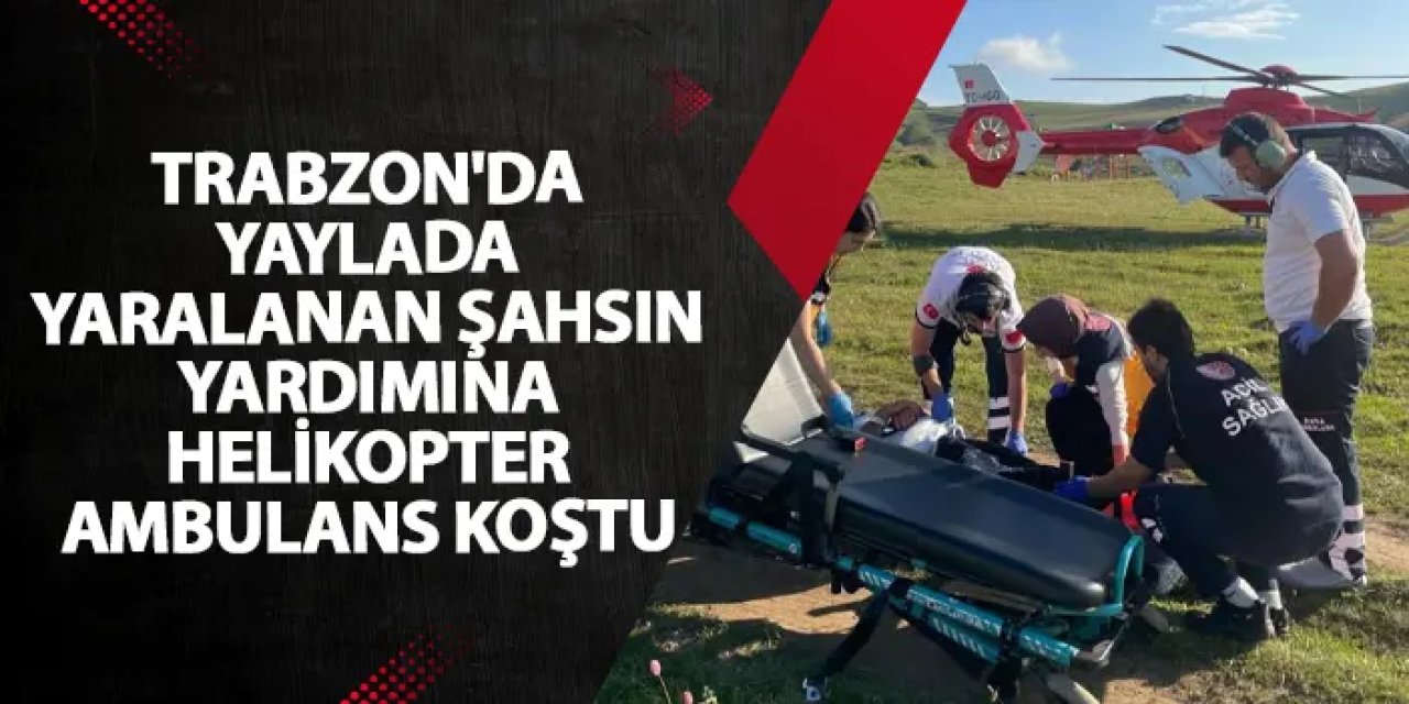 Trabzon'da yaylada düşerek yaralanan şahıs helikopter ambulansla hastaneye kaldırıldı