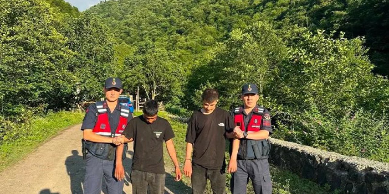 Artvin'de ormanlık alanda kaçak göçmenler yakalandı