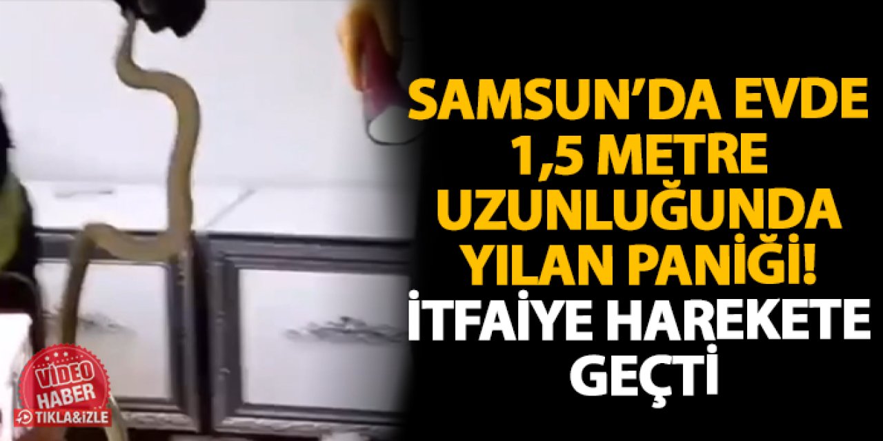 Samsun’da Evde 1,5 metre uzunluğunda yılan paniği! İtfaiye harekete geçti