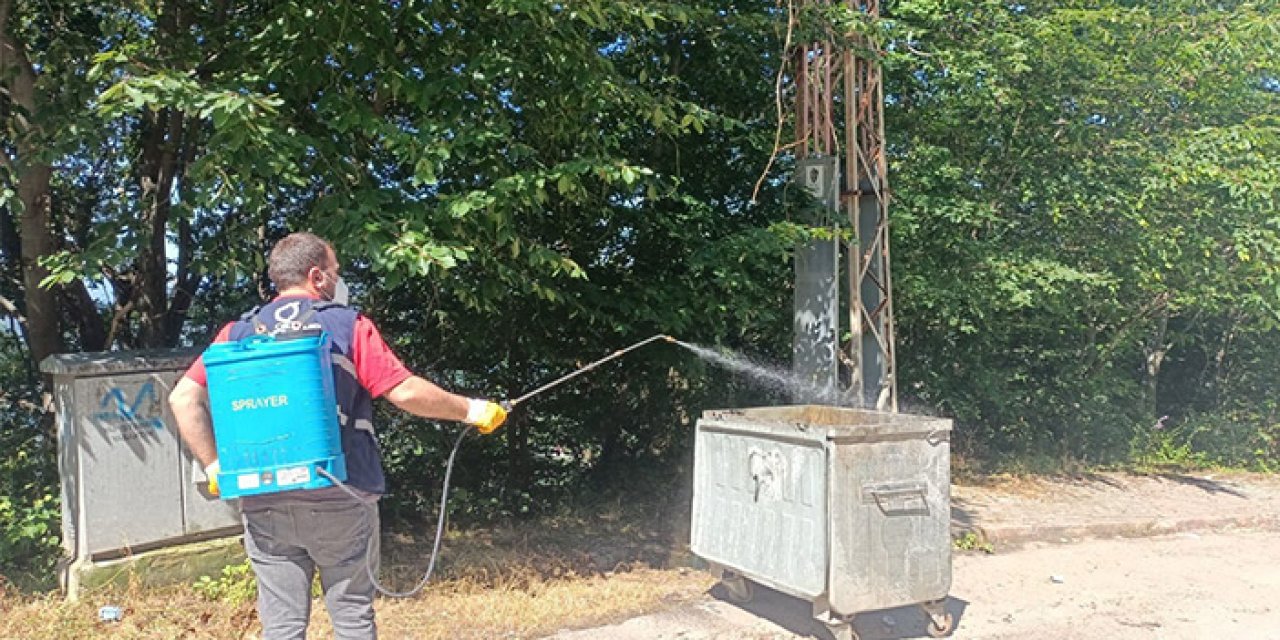 Ordu'da haşereyle yoğun mücadele