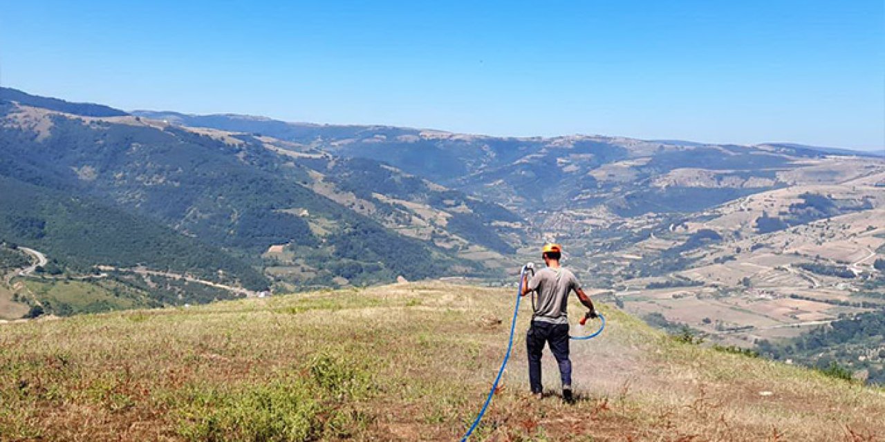 Samsun'da çekirge istilasıyla mücadele!
