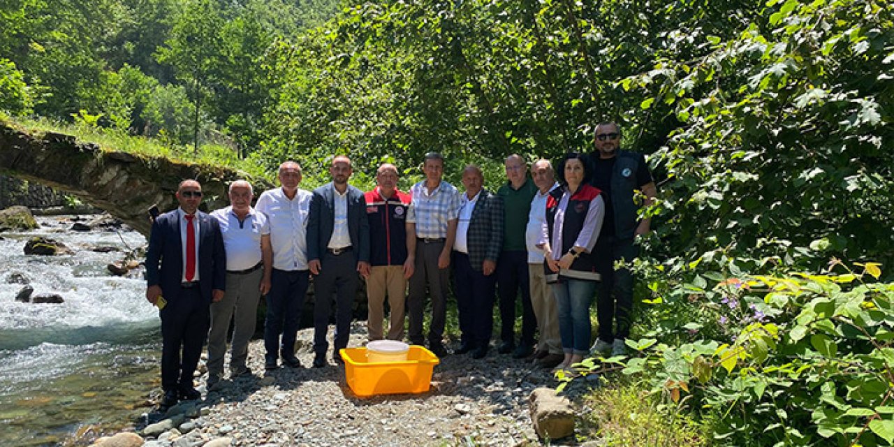 Trabzon'da 15 bin alabalık yavrusu suya salındı!