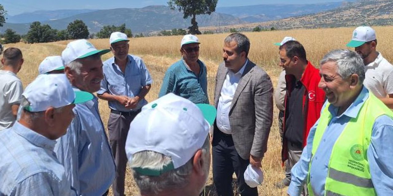 Samsun Vezirköprü’de ‘Baharın ilk arı çiçekleri kanola’ hasadı başladı!