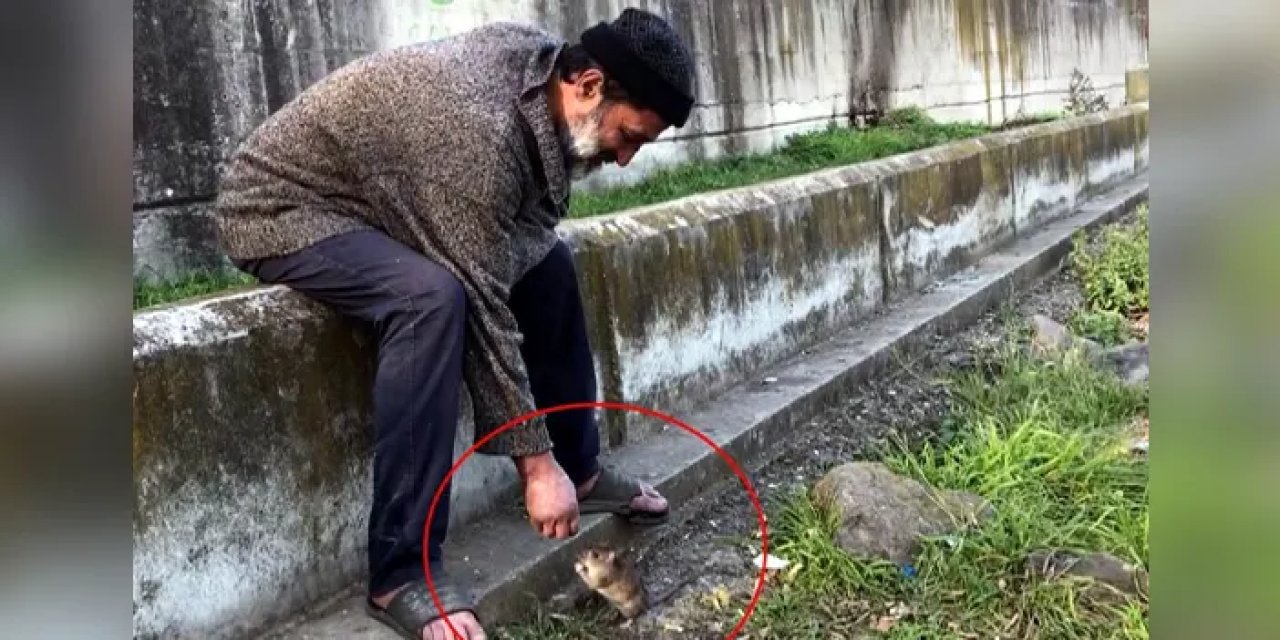 Farelerle kurduğu dostlukla tanınan Şeref Yeşilbaş otobüs durağında ölü bulundu!