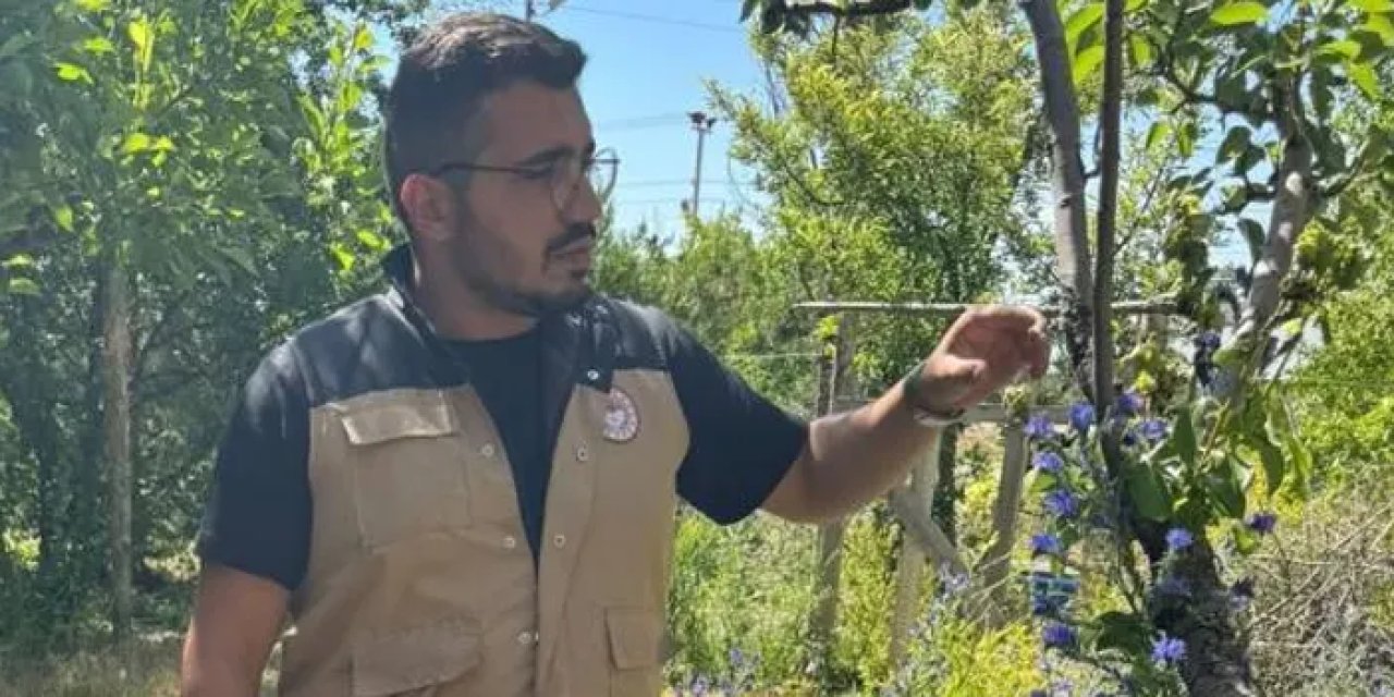 Bayburt’ta meyve bahçelerine böcek kontrolü!