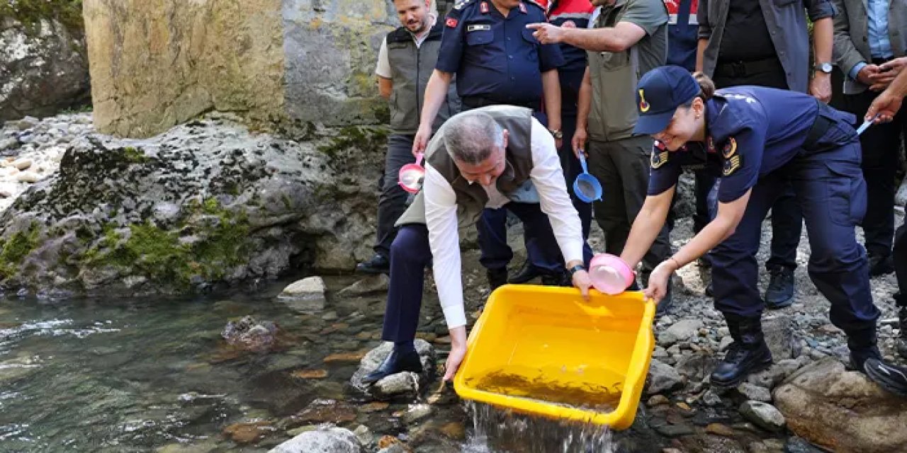 Artvin’in derelerine 5 bin kırmızı benekli alabalık daha!