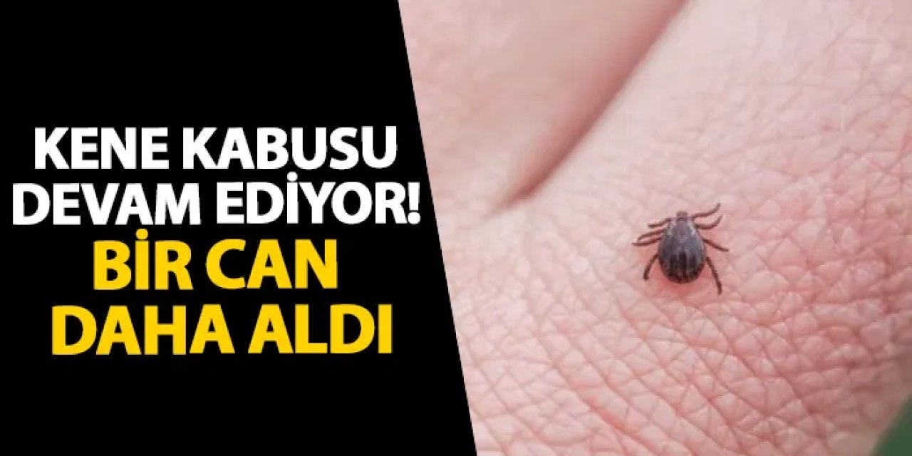 Kene kabusu devam ediyor! Bir can daha aldı