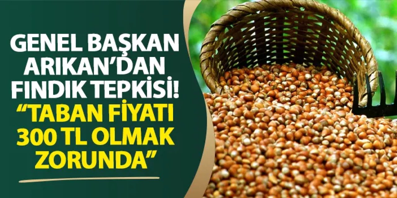 Genel Başkan Arıkan’dan fındık tepkisi! “Taban fiyatı 300 TL olmak zorunda”