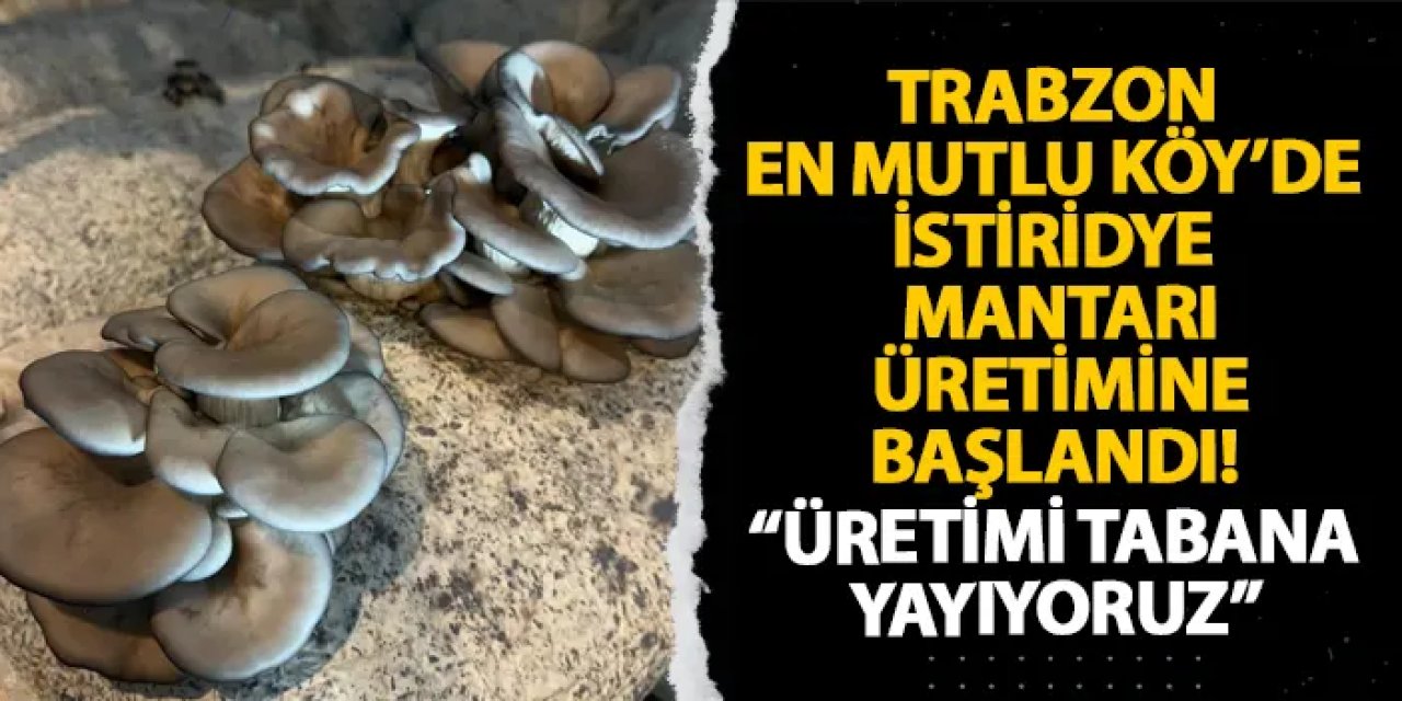 Trabzon En Mutlu Köy’de yeni üretim! “Üretimi tabana yayıyoruz”