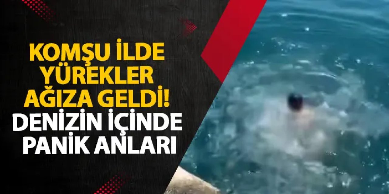 Giresun’da yürekler ağıza geldi! Denizin içinde panik anları