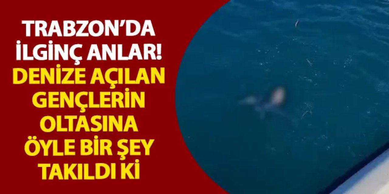 Trabzon’da ilginç anlar! Denize açılan gençlerin oltasına öyle bir şey takıldı ki