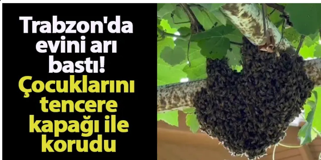 Trabzon'da evini arı bastı! Çocuklarını tencere kapağı ile korudu