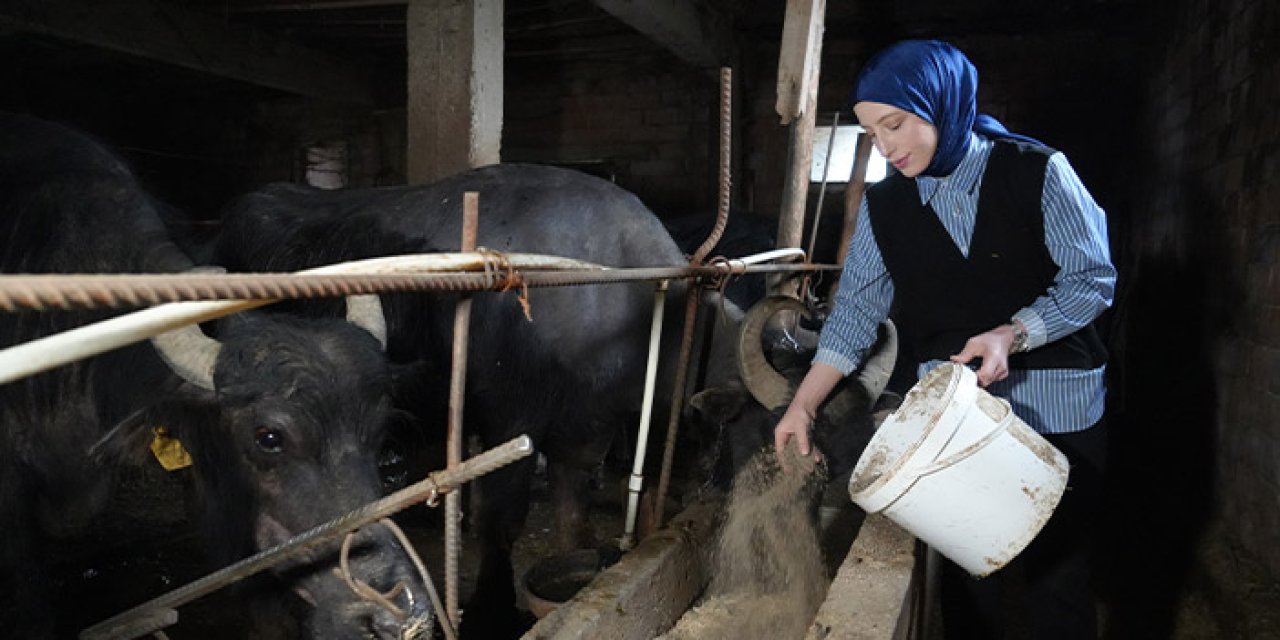 Mayıs ayında 999 bin ton inek sütü toplandı