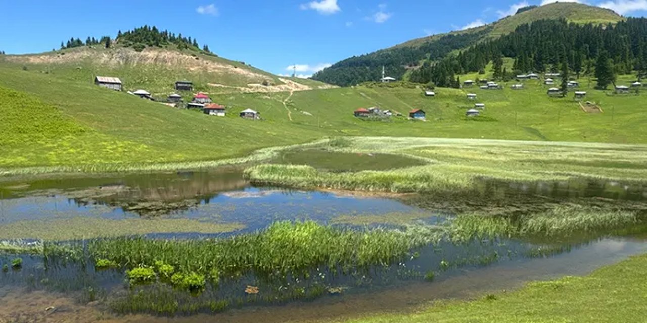 Giresun'da yaylara gidilen yollar yenileniyor!