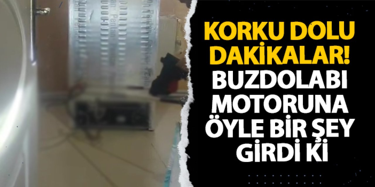Gümüşhane’de korku dolu dakikalar! Buzdolabı motoruna öyle bir şey girdi ki
