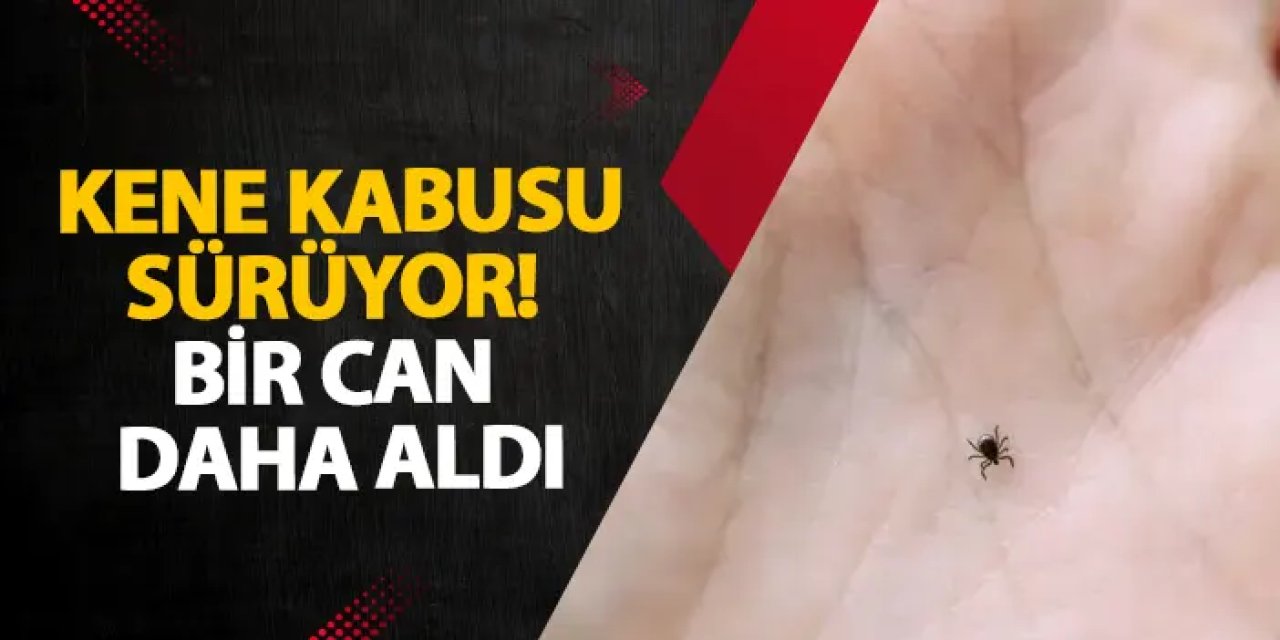 Kayseri’de kene can aldı! Yaşlı adam hayatını kaybetti