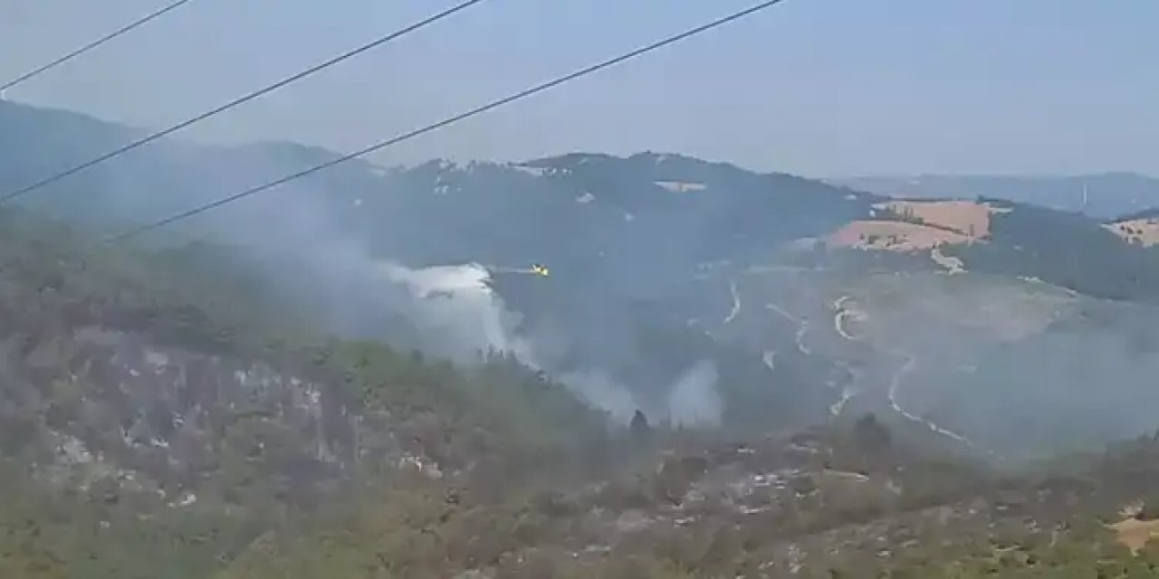 Balıkesir'deki orman yangınında son durum!