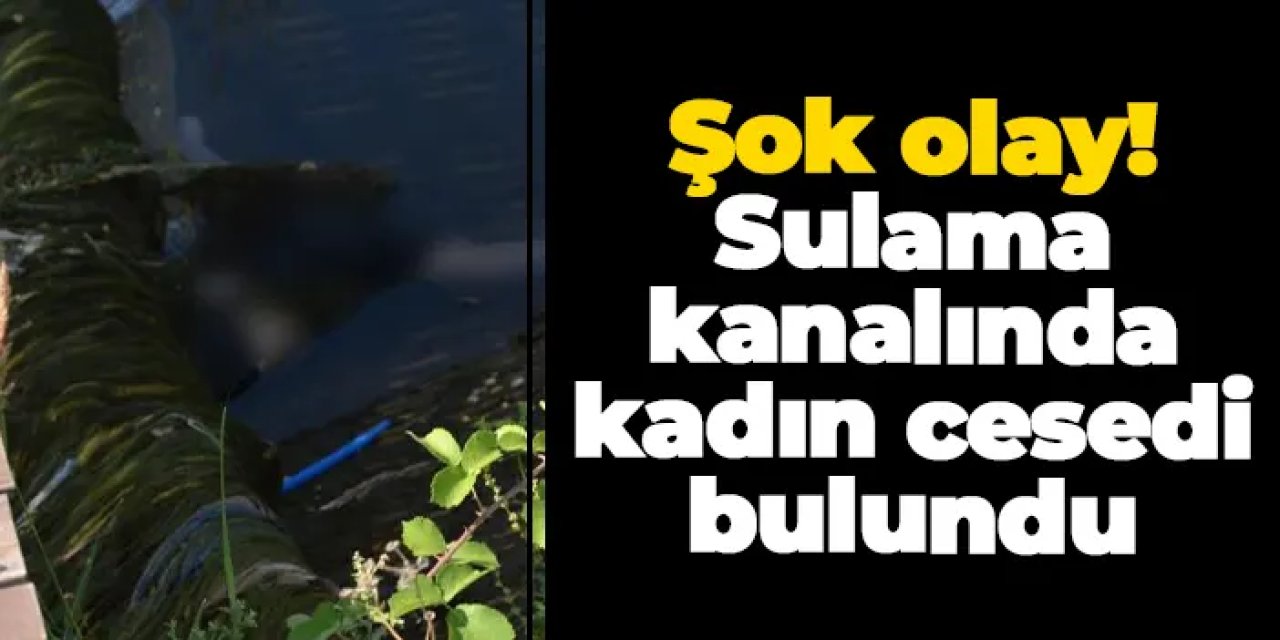 Samsun'da şok olay! Sulama kanalında kadın cesedi bulundu