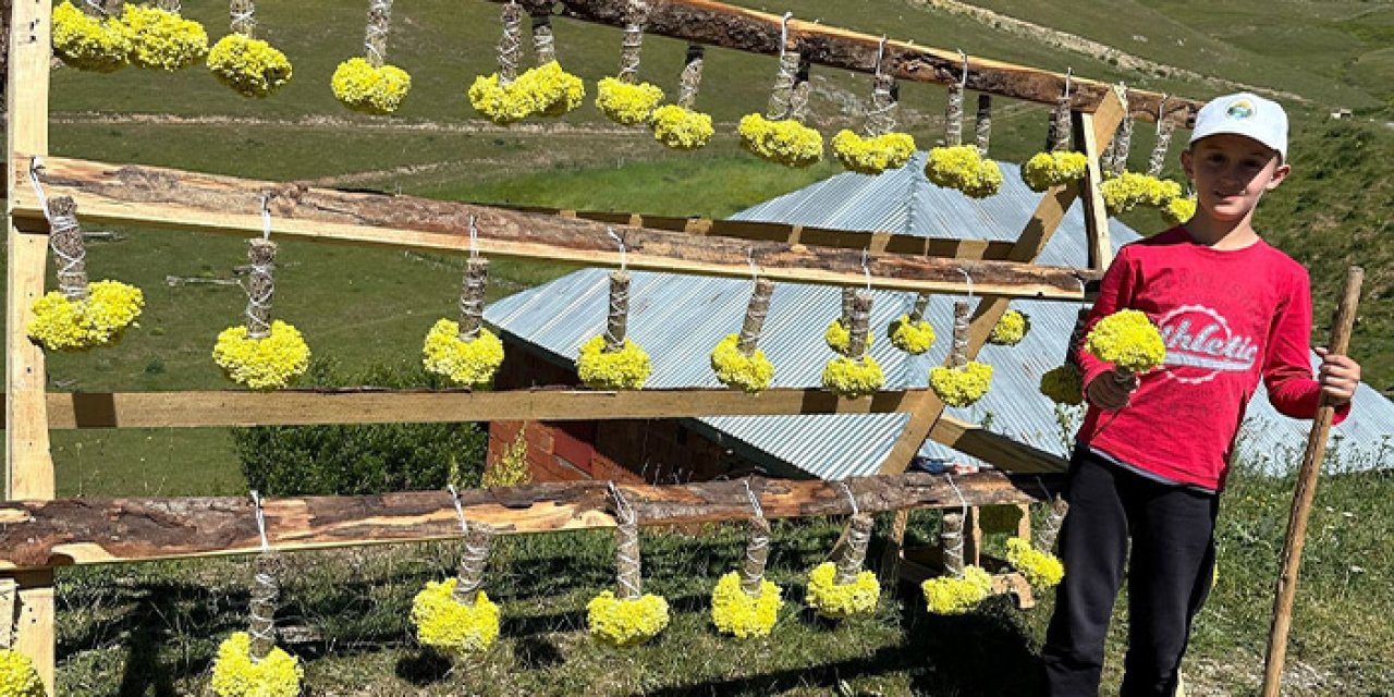Yaylanın emekçi çocukları çiçekle hayata tutunuyor!