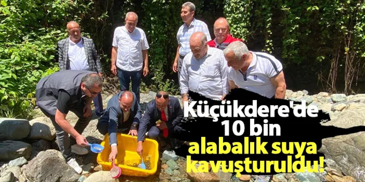 Küçükdere'de 10 bin alabalık suya kavuşturuldu!