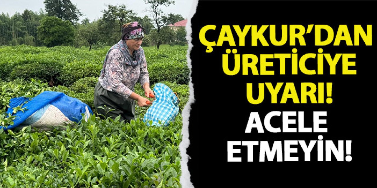 ÇAYKUR'dan üreticiye uyarı! Acele etmeyin