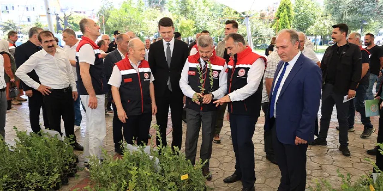 Arhavi’de çiftçiye 8 bin maviyemiş fidanı dağıtıldı!