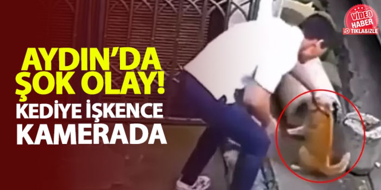 Aydın’da şok olay! Kediye işkence kamerada