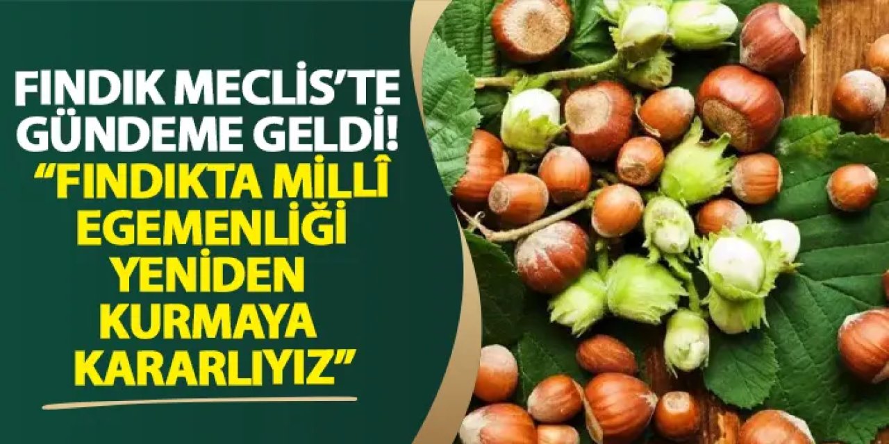 Fındık Meclis’te gündeme geldi! “Fındıkta millî egemenliği yeniden kurmaya kararlıyız”