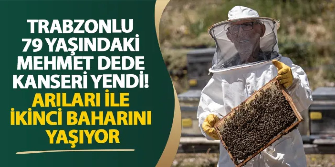 Trabzonlu 79 yaşındaki Mehmet dede kanseri yendi! Arıları ile ikinci baharını yaşıyor