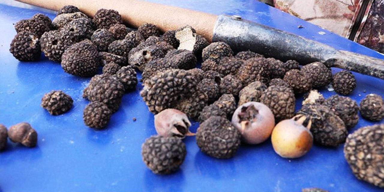 Samsun'da orman ürünleri köylünün geçim kapısı oldu!