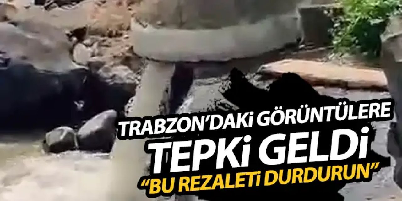 Trabzon'daki görüntülere tepki geldi "Rezaleti durdurun"