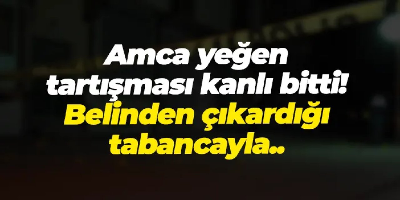 Giresun'da amca yeğen tartışması kavgaya dönüştü! Belinden çıkardığı silahla...
