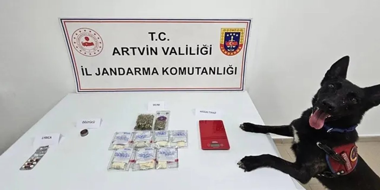 Artvin'de zehir operasyonu! 2 tutuklama