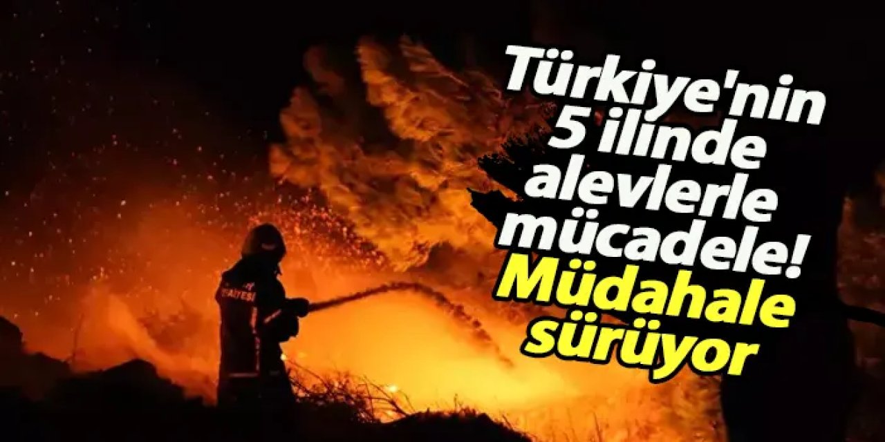 Türkiye'nin 5 ilinde alevlerle mücadele! Müdahale sürüyor
