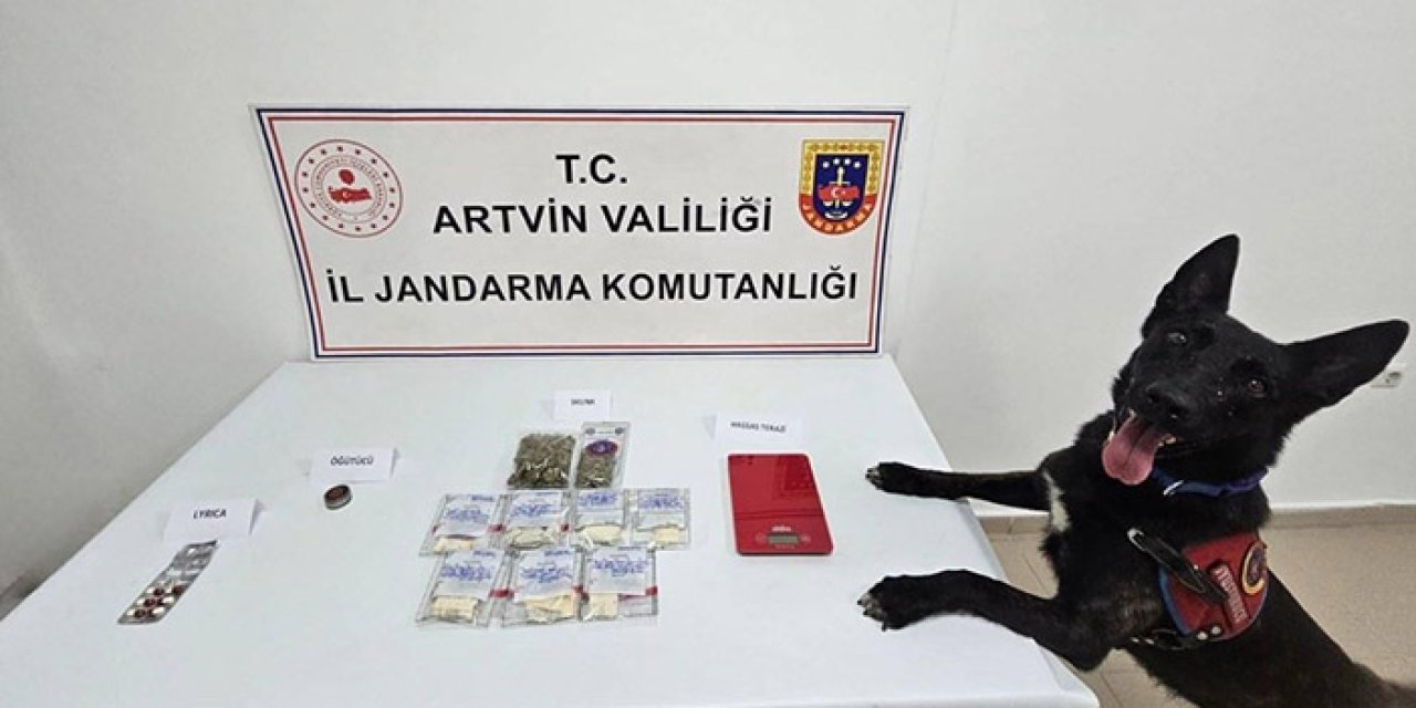 Artvin'de uyuşturucu operasyonu! 2 tutuklanma