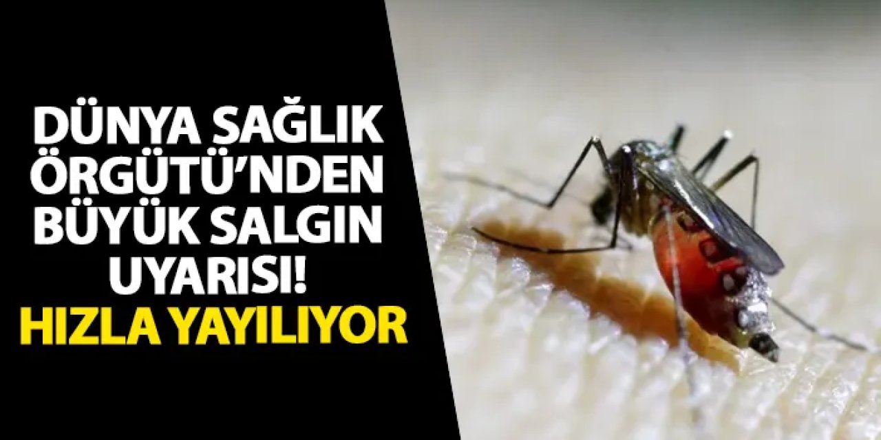 Dünya Sağlık Örgütü’nden büyük salgın uyarısı! Hızla yayılıyor
