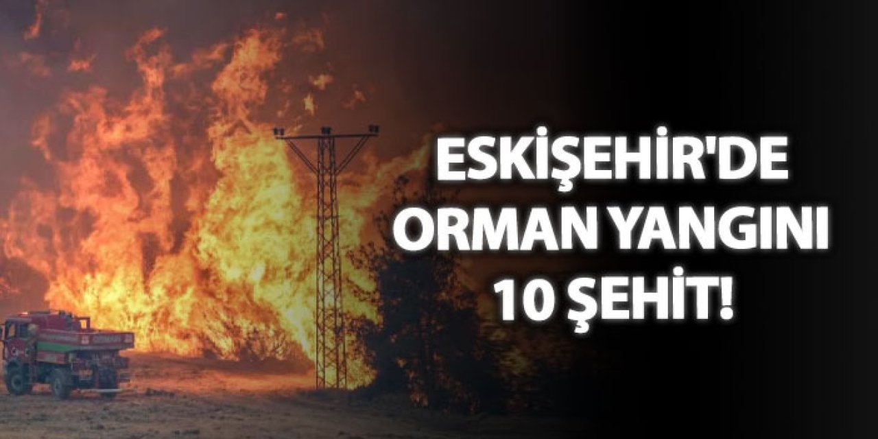 Eskişehir'de orman yangını 10 şehit!