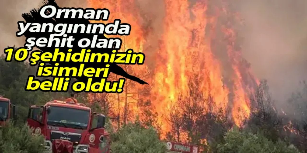 Orman yangınında şehit olan 10 şehidimizin isimleri belli oldu!