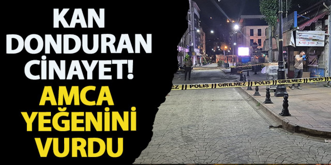 Giresun'da kan donduran cinayet! Amca yeğenini vurdu