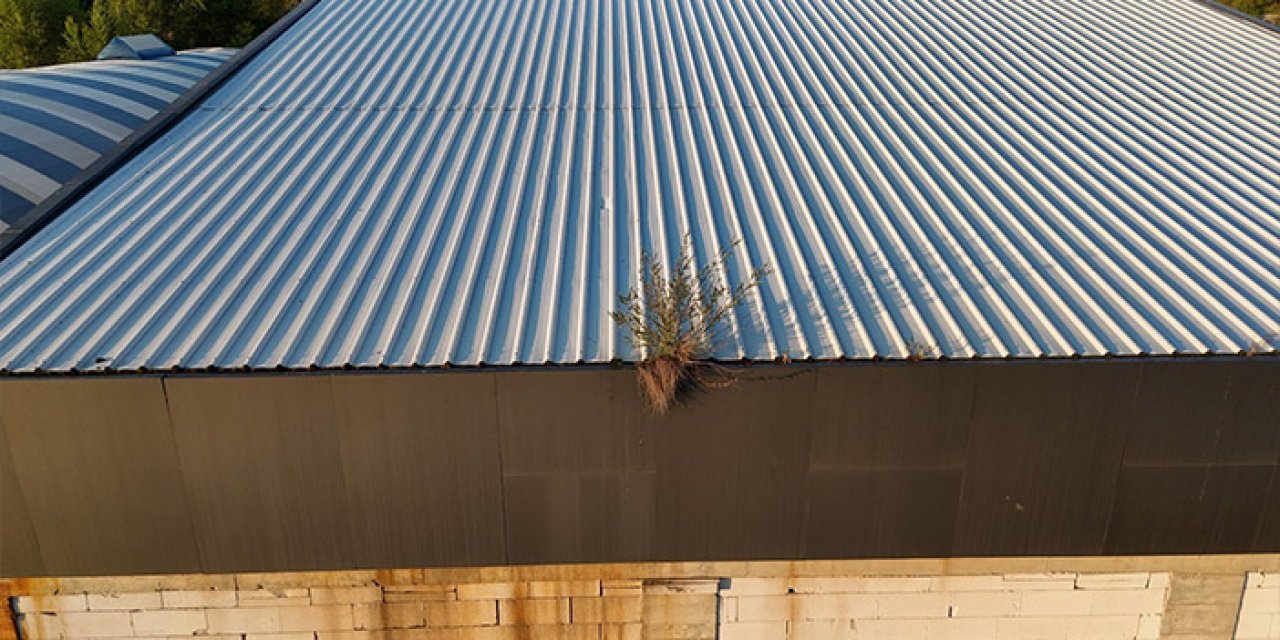 Giresun'da  yüzme havuzu çürümeye terk edildi