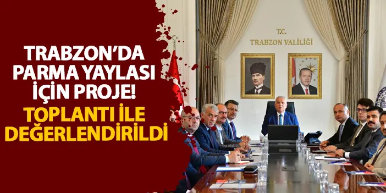 Trabzon’da Parma Yaylası için proje! Düzenlenen toplantı ile değerlendirildi