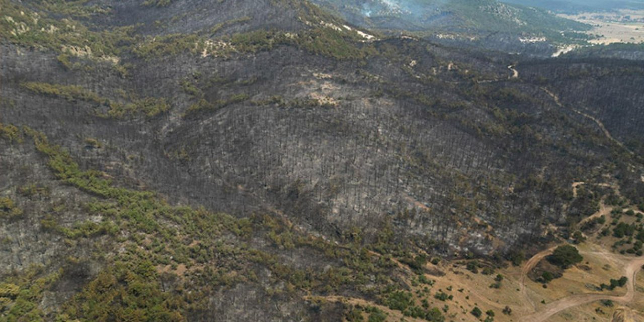 Eskişehir'deki yangın faciasına savcılık tarafından  soruşturma başlatıldı!