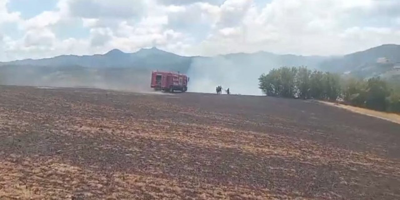 Elektrik tellerine çarpan kartal yangına neden oldu, Samsun'da  anız yangını çıktı