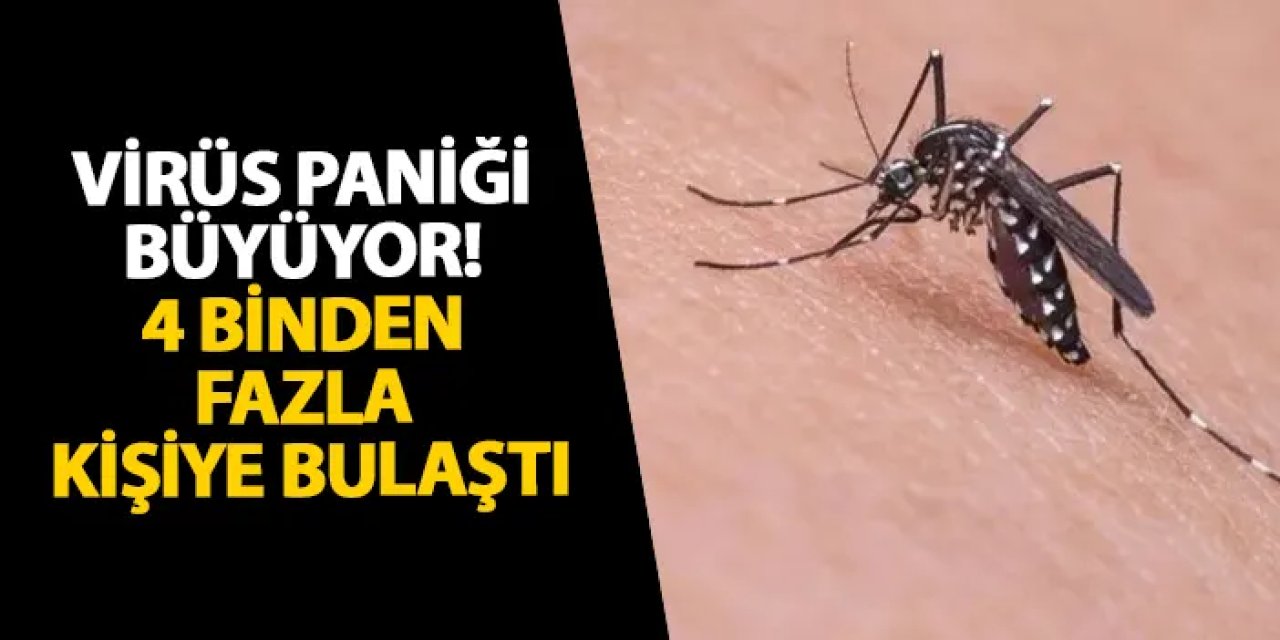 Virüs paniği büyüyor! 4 binden fazla kişiye bulaştı