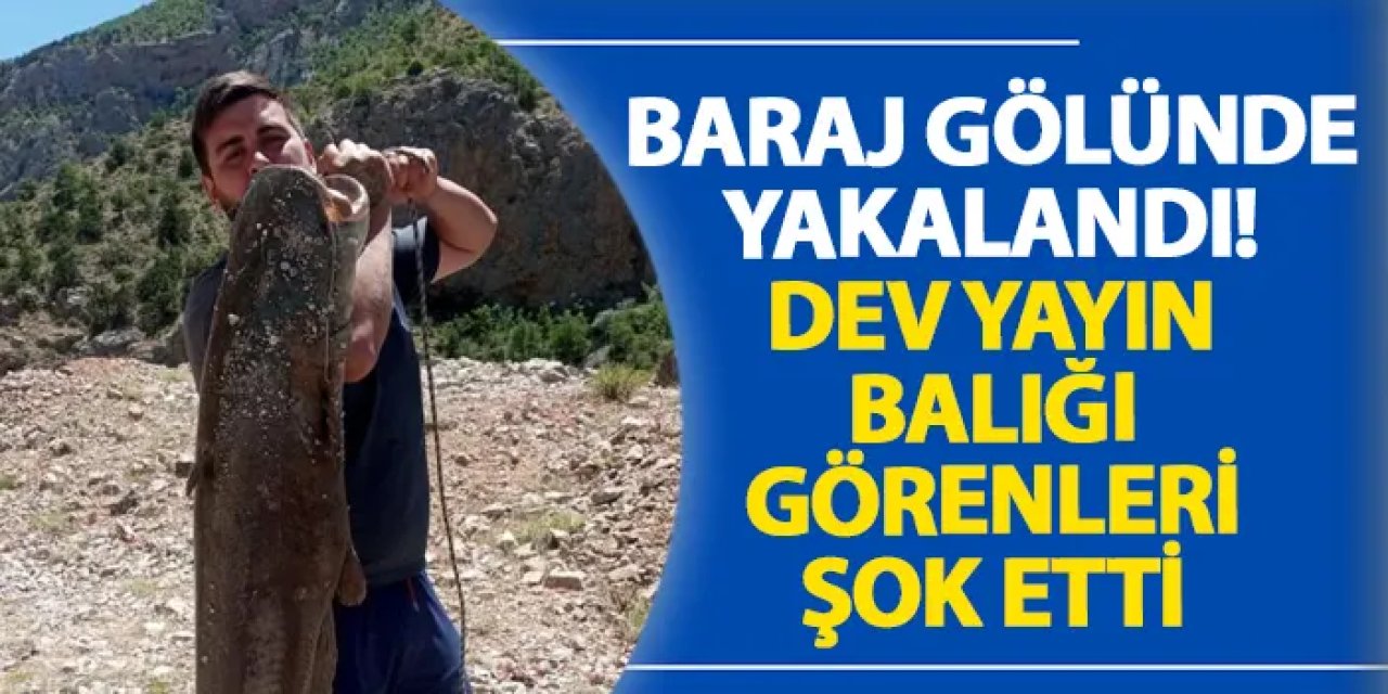 Artvin’de baraj gölünde yakalandı! Dev yayın balığı görenleri şok etti