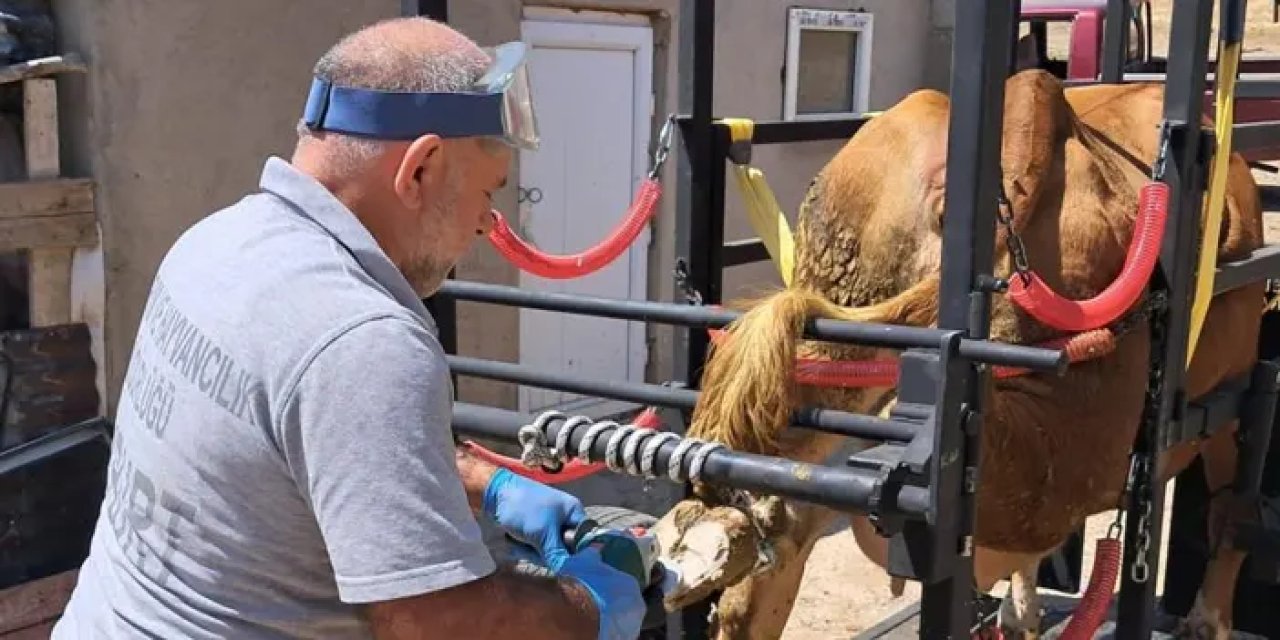 Bayburt’ta Travay projesinde ilk saha uygulaması yapıldı