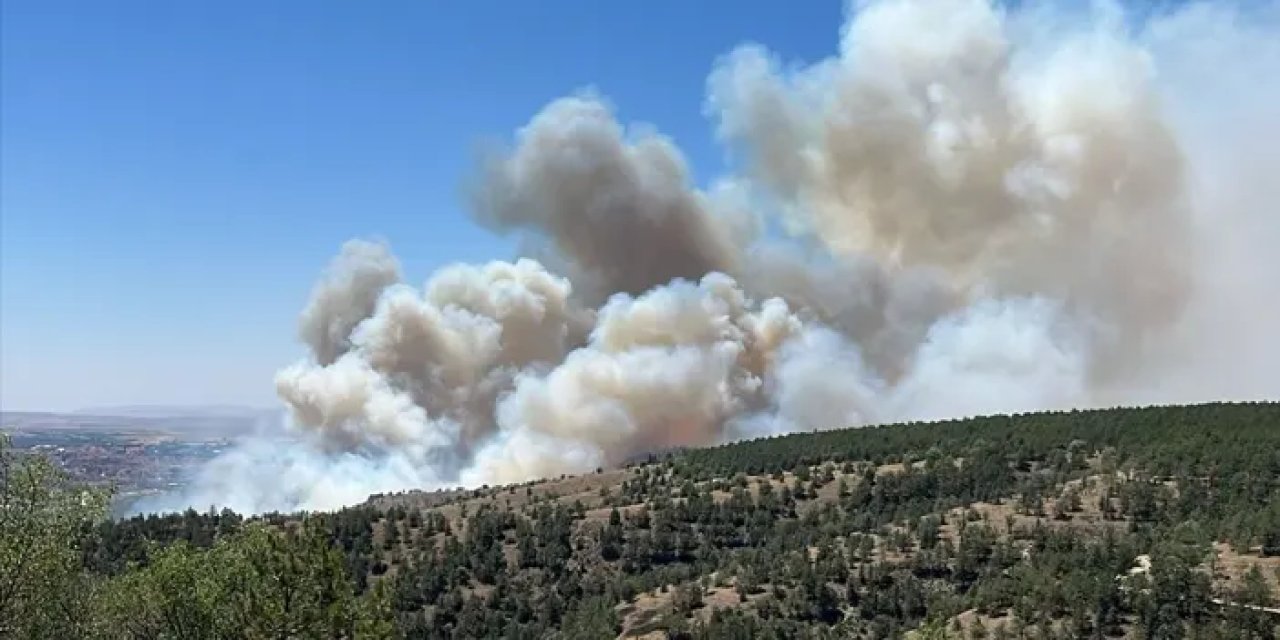 Ankara'da ODTÜ yolunda yangın!